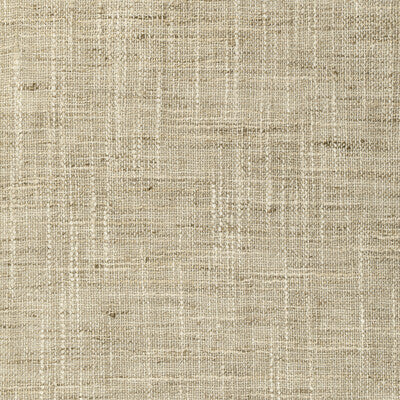 4853-116 KRAVET BASICS 4853-116 KRAVET BASICS DRAPERY