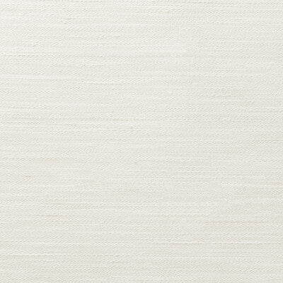 4854-101 KRAVET BASICS 4854-101 KRAVET BASICS DRAPERY