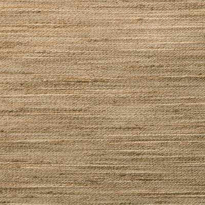 4854-106 KRAVET BASICS 4854-106 KRAVET BASICS DRAPERY