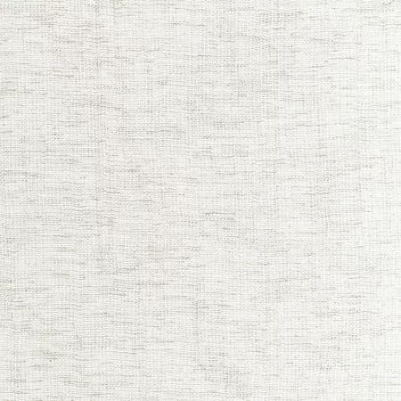 4881-101 Kravet Fabric