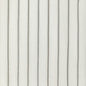 4903-11 KRAVET DESIGN 4903-11 KRAVET DESIGN DRAPERY