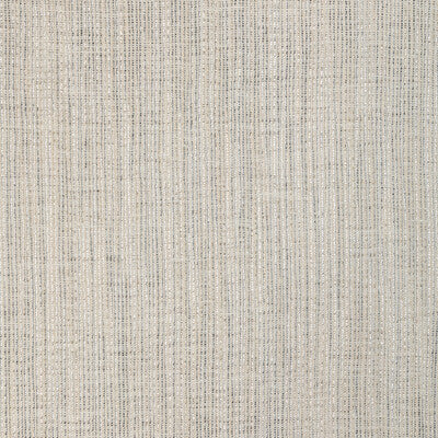 4905-1611 KRAVET DESIGN 4905-1611 KRAVET DESIGN DRAPERY