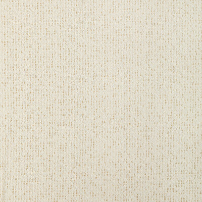 4923-1 KRAVET DESIGN 4923-1 KRAVET DESIGN DRAPERY