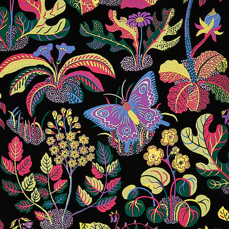 5008422 EXOTIC BUTTERFLY Black Schumacher Wallpaper