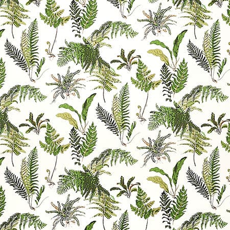 5010660 LES FOUGERES Document Schumacher Wallpaper