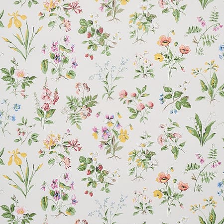 5010680 FLOREANA Berry Schumacher Wallpaper