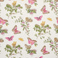 5010690 BAUDIN BUTTERFLY Blush Schumacher Wallpaper