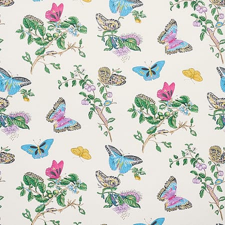 5010691 BAUDIN BUTTERFLY Turquoise Schumacher Wallpaper