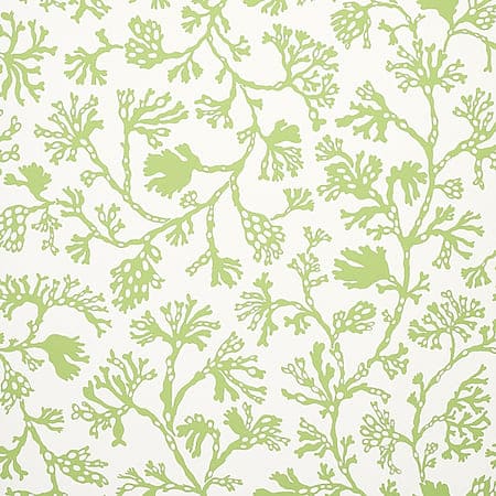 5012131 ANTHOZA Green Schumacher Wallpaper