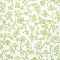 5012131 ANTHOZA Green Schumacher Wallpaper