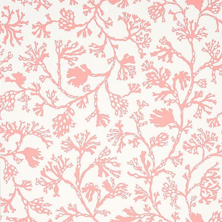 5012132 ANTHOZA Coral Schumacher Wallpaper