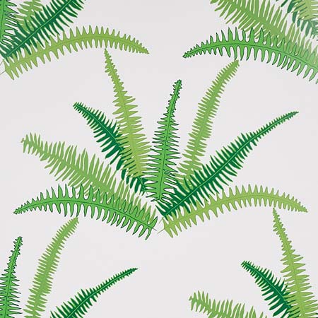 5012621 CANYON FERNS Jungle Schumacher Wallpaper