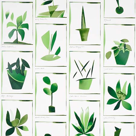 5012691 BOTANICALS Greenhouse Schumacher Wallpaper