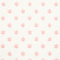 5013144 ASTRAL Pink Schumacher Wallpaper