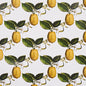 5014280 LE CITRON Ivory Schumacher Wallpaper