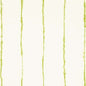 5014871 EPHEMERA Chartreuse Schumacher Wallpaper