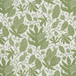 5015463 POLKA DOT JUNGLE Green Ivory Schumacher Wallpaper