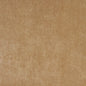 5153 Plain & Solid Camel Beige & Taupe,Brown Charlotte Fabrics