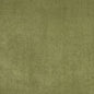 5159 Plain & Solid Spring Green Charlotte Fabrics