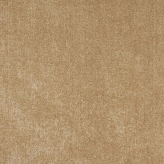 5162 Plain & Solid Sandalwood Beige & Taupe Charlotte Fabrics