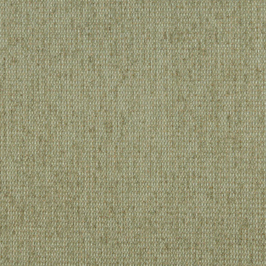 5170 Plain & Solid Willow Green Charlotte Fabrics
