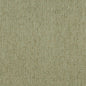 5170 Plain & Solid Willow Green Charlotte Fabrics