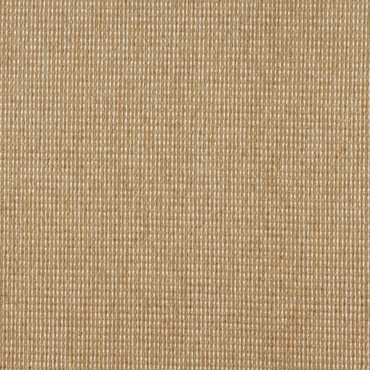 5172 Plain & Solid Seagrass Beige & Taupe Charlotte Fabrics
