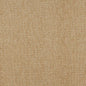 5172 Plain & Solid Seagrass Beige & Taupe Charlotte Fabrics