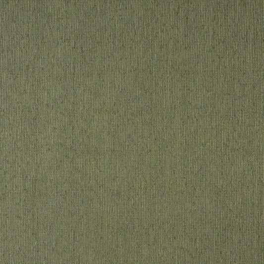 5218 Plain & Solid Willow Green Charlotte Fabrics