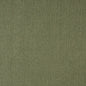 5218 Plain & Solid Willow Green Charlotte Fabrics
