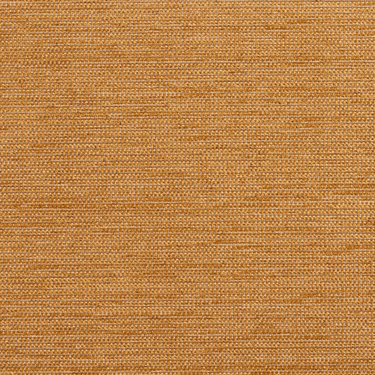 5222 Plain & Solid Wheat Gold & Yellow Charlotte Fabrics