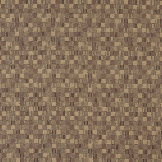 5251 Abstract & Geometric,Small Scale Dune Brown Charlotte Fabrics