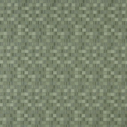 5259 Abstract & Geometric,Small Scale Aloe Green Charlotte Fabrics