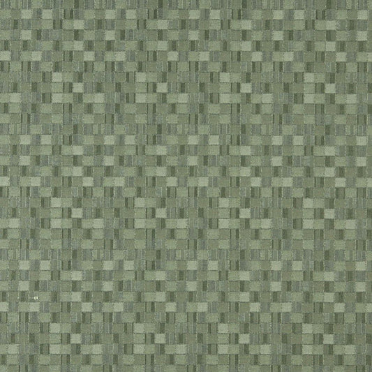 5259 Abstract & Geometric,Small Scale Aloe Green Charlotte Fabrics
