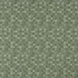 5259 Abstract & Geometric,Small Scale Aloe Green Charlotte Fabrics