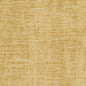 5303 Plain & Solid Gold Gold & Yellow Charlotte Fabrics