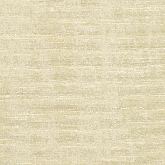 5307 Plain & Solid Ecru Beige & Taupe Charlotte Fabrics