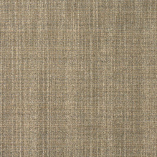5374 Plain & Solid Cornsilk Beige & Taupe Charlotte Fabrics