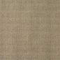 5374 Plain & Solid Cornsilk Beige & Taupe Charlotte Fabrics