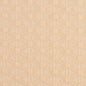 5535 Abstract & Geometric Natural/Charm White & Ivory Charlotte Fabrics