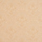5543 Damask Natural/Cameo White & Ivory Charlotte Fabrics