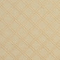 5546 Diamonds Ivory/Diamond White & Ivory Charlotte Fabrics