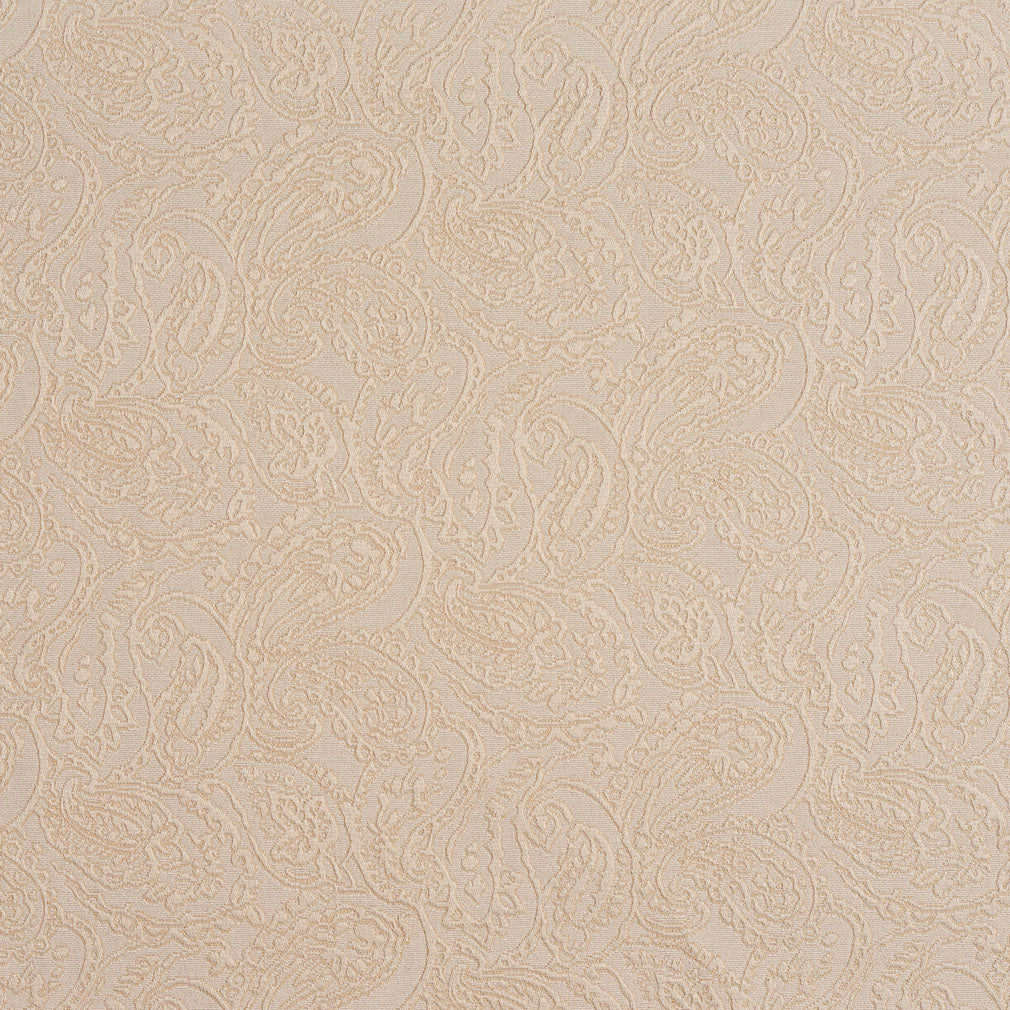 5573 Paisley Ivory/Paisley White & Ivory Charlotte Fabrics