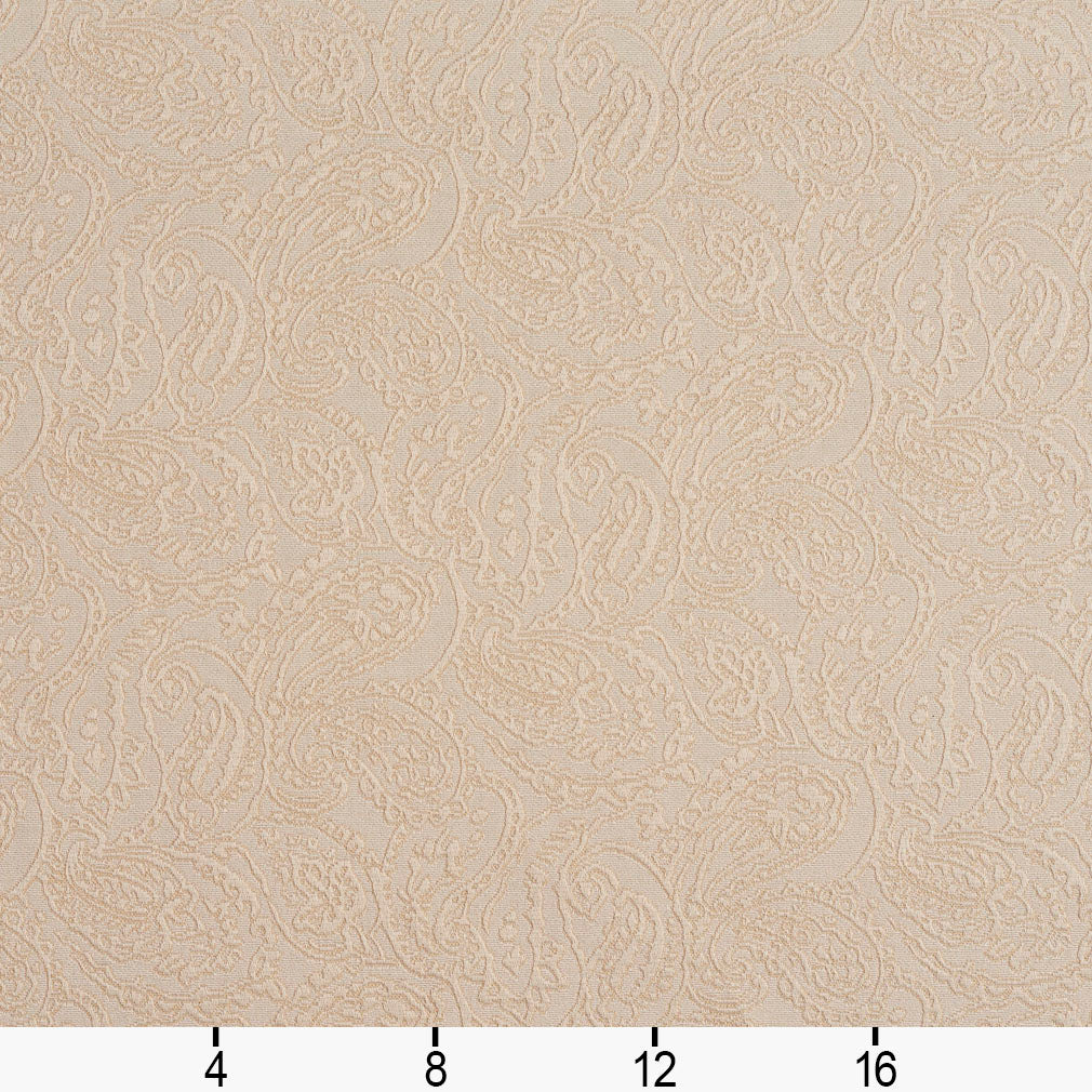 5573 Paisley Ivory/Paisley White & Ivory Charlotte Fabrics