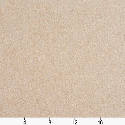 5573 Paisley Ivory/Paisley White & Ivory Charlotte Fabrics