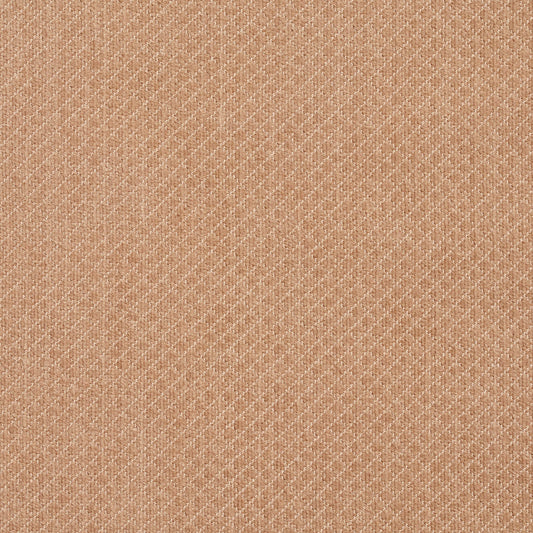 5594 Plain & Solid Sand Beige & Taupe Charlotte Fabrics
