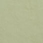 5681 Plain & Solid,Twill Mint Green Charlotte Fabrics