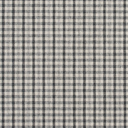 5810 Check & Houndstooth,Small Scale Sterling Check Grey & Silver Charlotte Fabrics