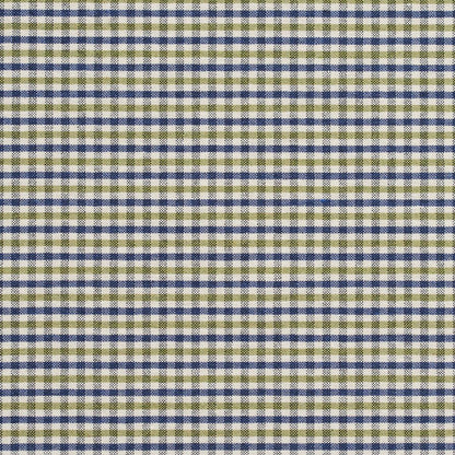 5813 Check & Houndstooth,Small Scale Laguna Check Blue,Green Charlotte Fabrics