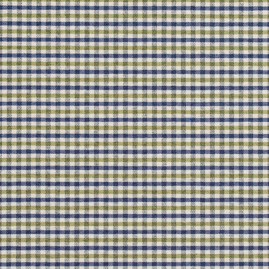 5813 Check & Houndstooth,Small Scale Laguna Check Blue,Green Charlotte Fabrics